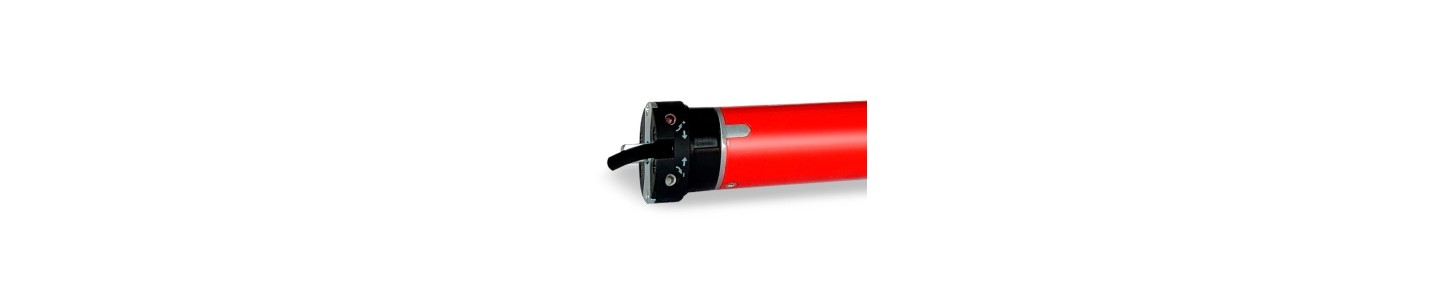 Motor mecànico de 50Nm 12v D.C